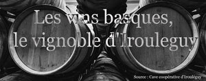 Les vins basques, le vignoble d'Irouleguy.